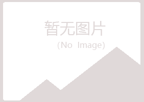 白银平川向珊舞蹈有限公司